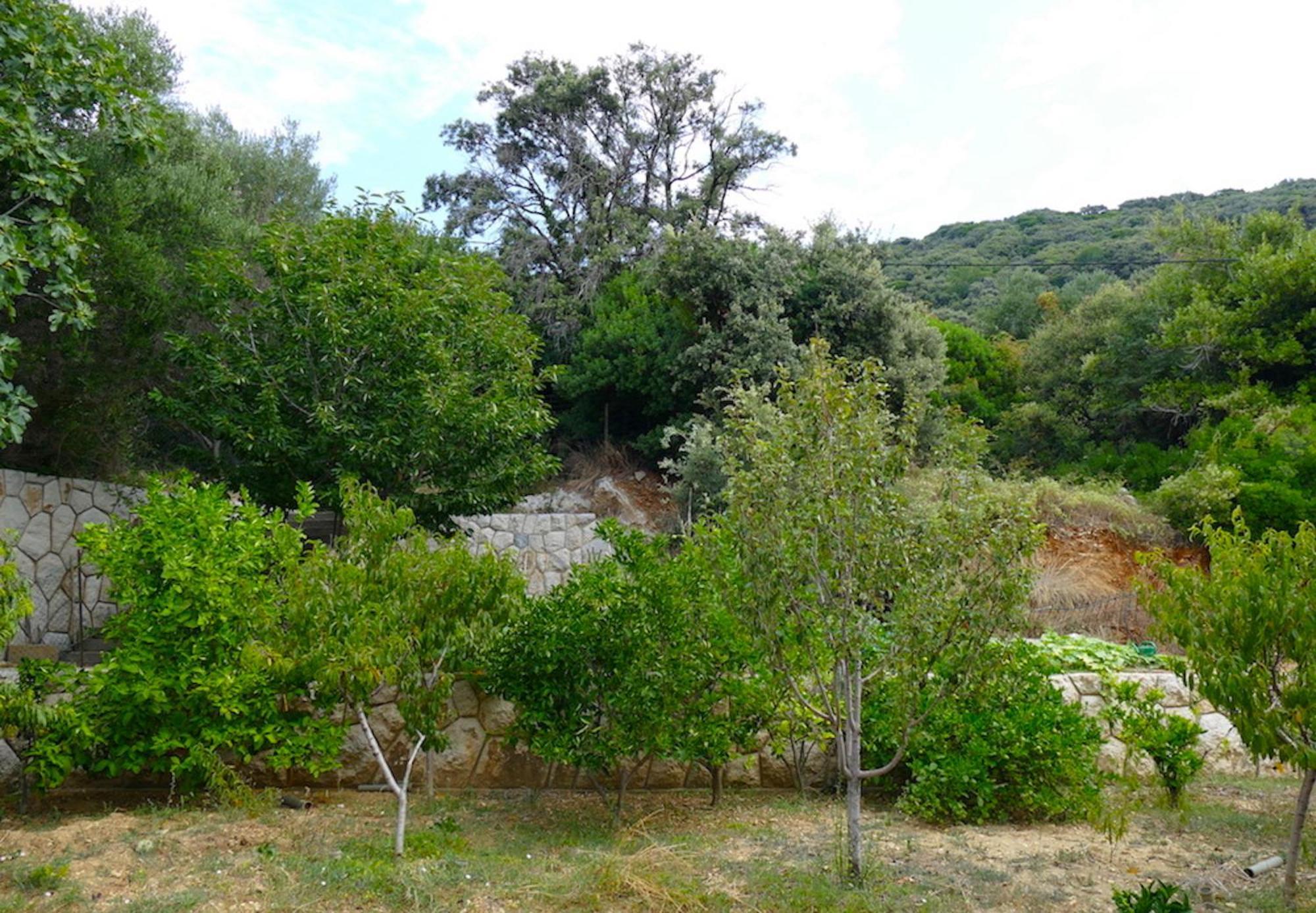 B&B Garni Stefi! Supetarska Draga Rom bilde